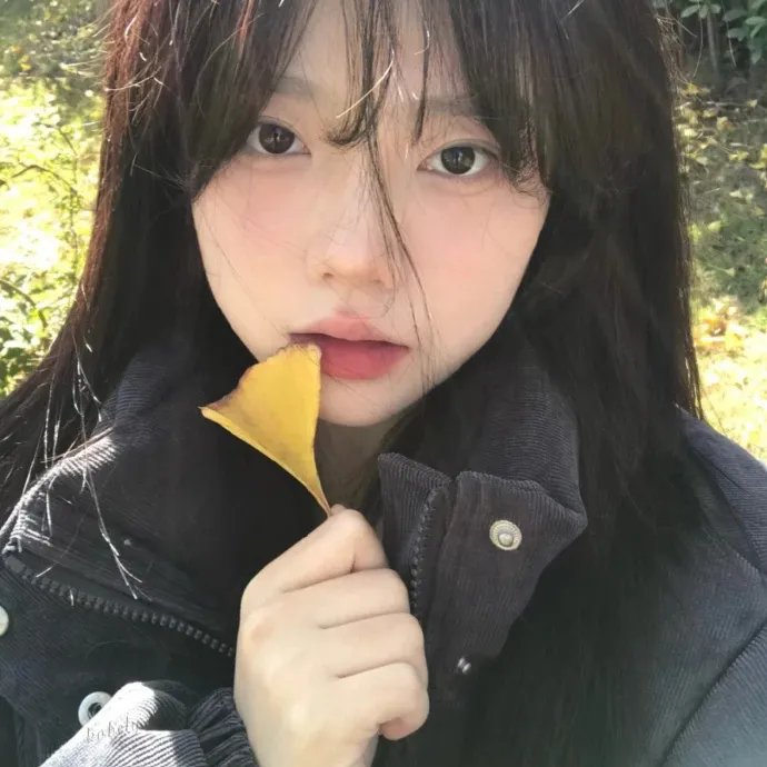 命运薄荷糖